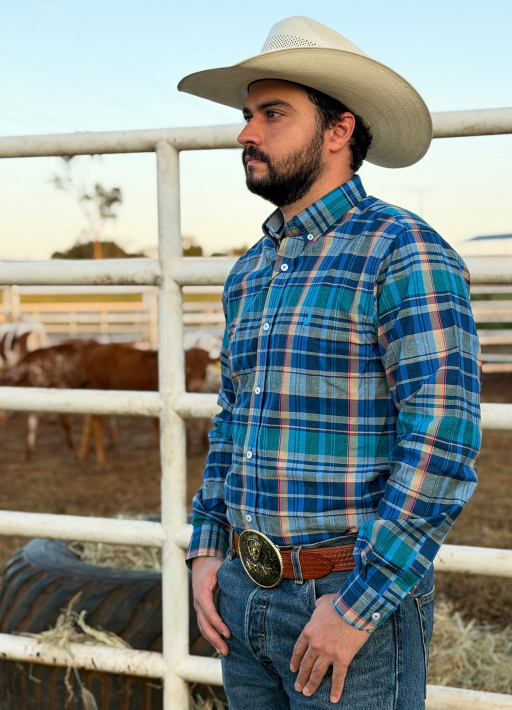 Cowboy vestindo camisa Austin Western manga longa xadrez 01