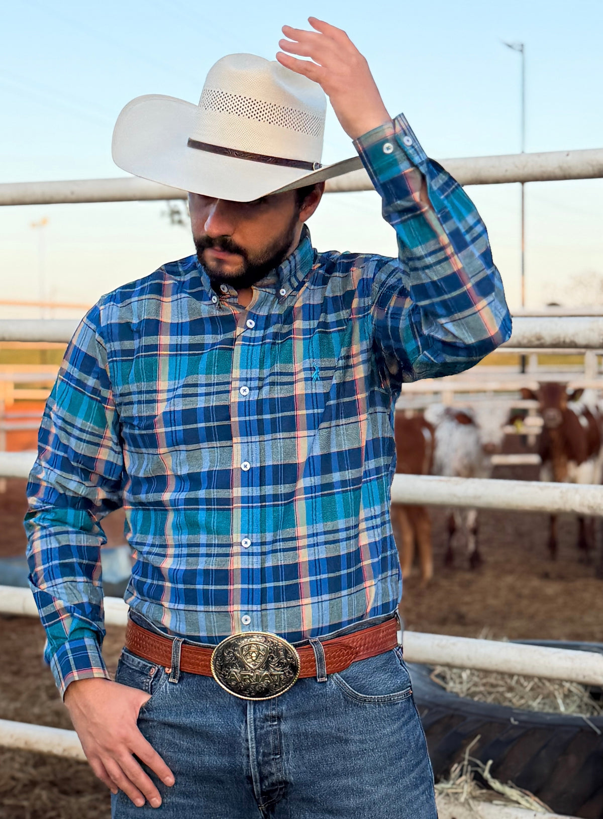 Cowboy vestindo camisa Austin Western manga longa xadrez 01