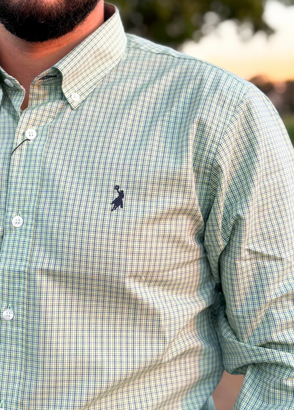 Close da camisa Austin Western manga longa xadrez 04