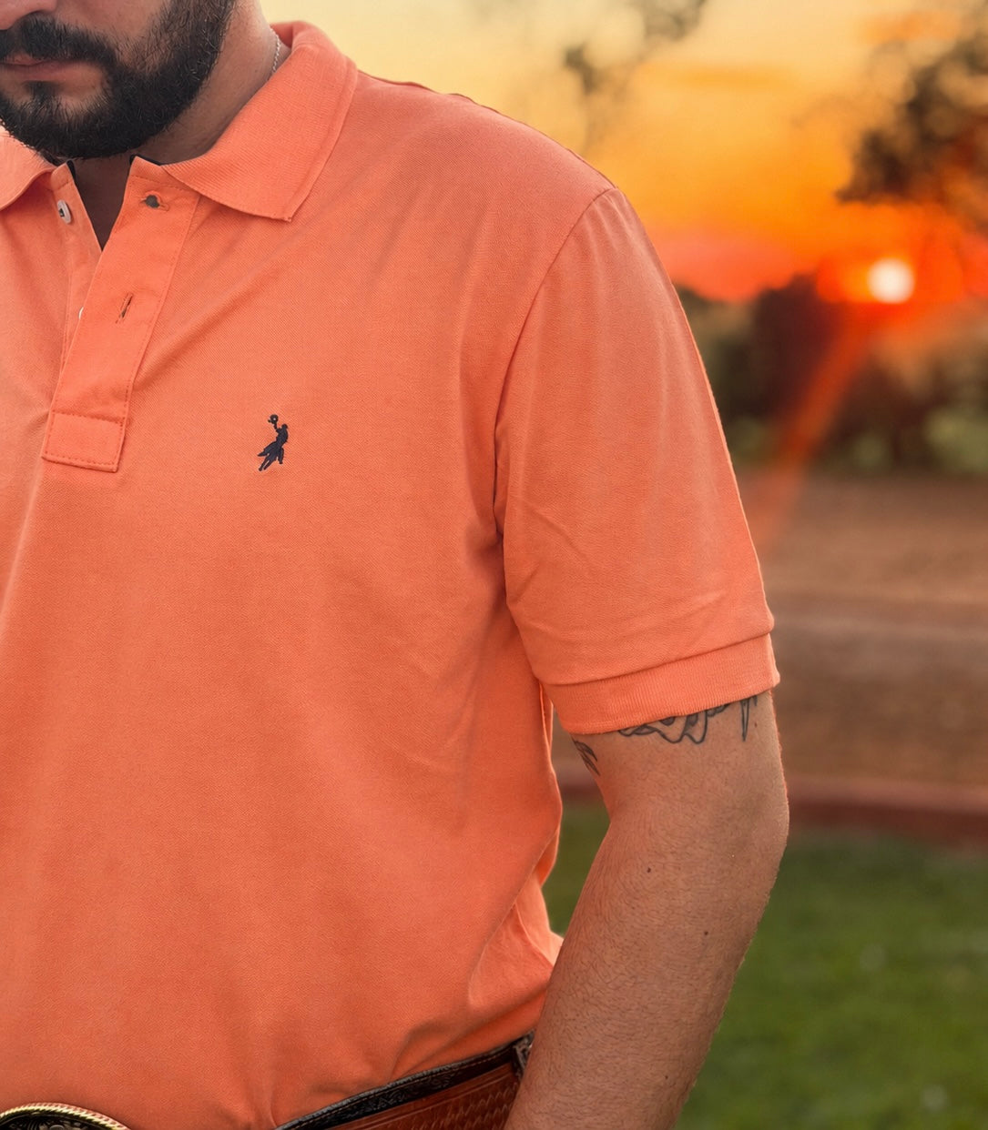 Close da camisa polo Austin Western 01